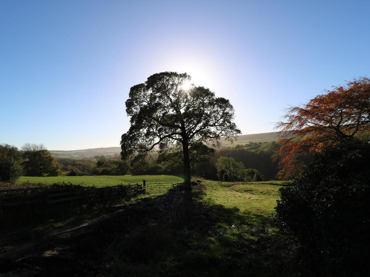 The Cottage, Beeston Hall ซาวเวอร์บีบริดจ์ ภายนอก รูปภาพ